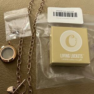 Origami Owl Rose Gold Living Locket Necklace with Chain and Charms